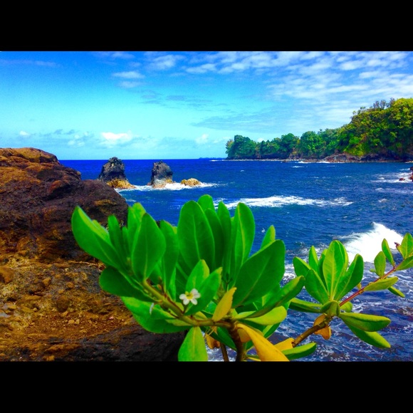 Meet your Personal Shopper! Posher, Ana - Picture 13 of 16